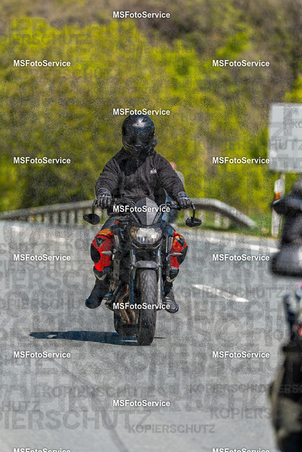 MSFotoServiceXXX140 | MSFotoService - Realisiert mit Pictrs.com