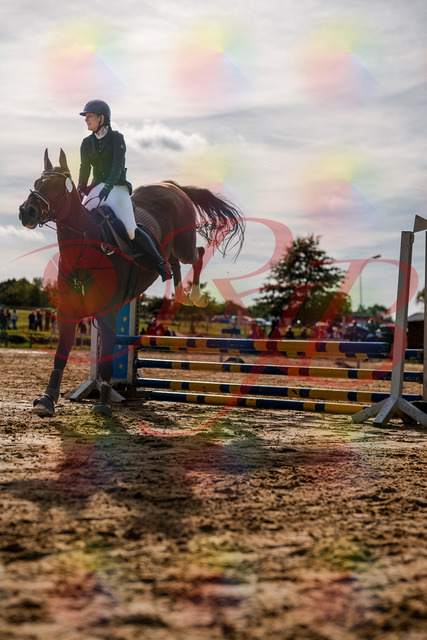 2026_10_03_Siefer-Hof_155553_Z63_10612427 | Professionelle Reitsport-, Turnier- und Eventfotografie von Robert Broda. Galerien mit ausgewählten und bearbeiteten Bildern direkt online ansehen und bestellen.