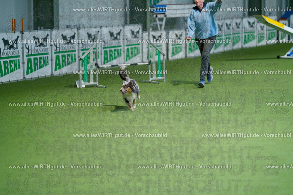 @allesWIRTHgut_Tierfotografie - www.allesWIRTHgut.de - 2604250842-7R507502 | Professionelle Tierfotografie in Mönchengladbach von Daniel Wirth (allesWIRTHgut). Liebevolle & natürliche Bilder von Hunden & Katzen für unvergessliche Erinnerungen.