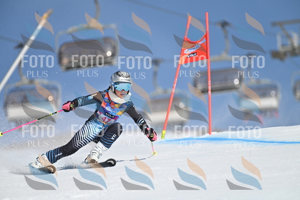 BGV_8478 | holidayphoto