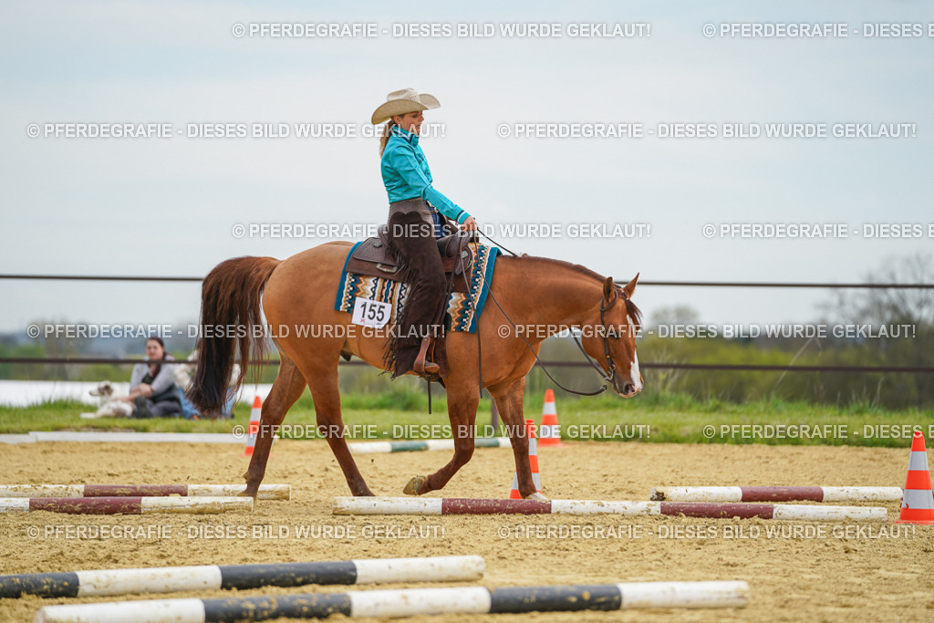 DSC03109 | Pferdegrafie