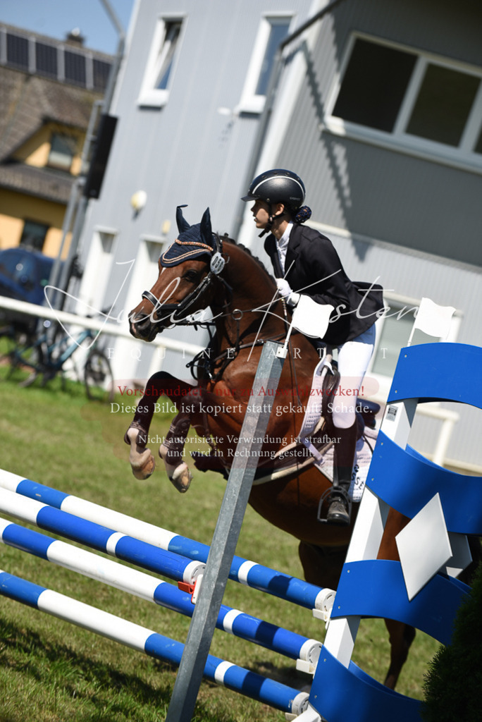 DSC_9565 | Pferde- und Turnierfotografie in Westsachsen. Pferdeportraits, Auftragszeichnungen und intuitive Kunst.