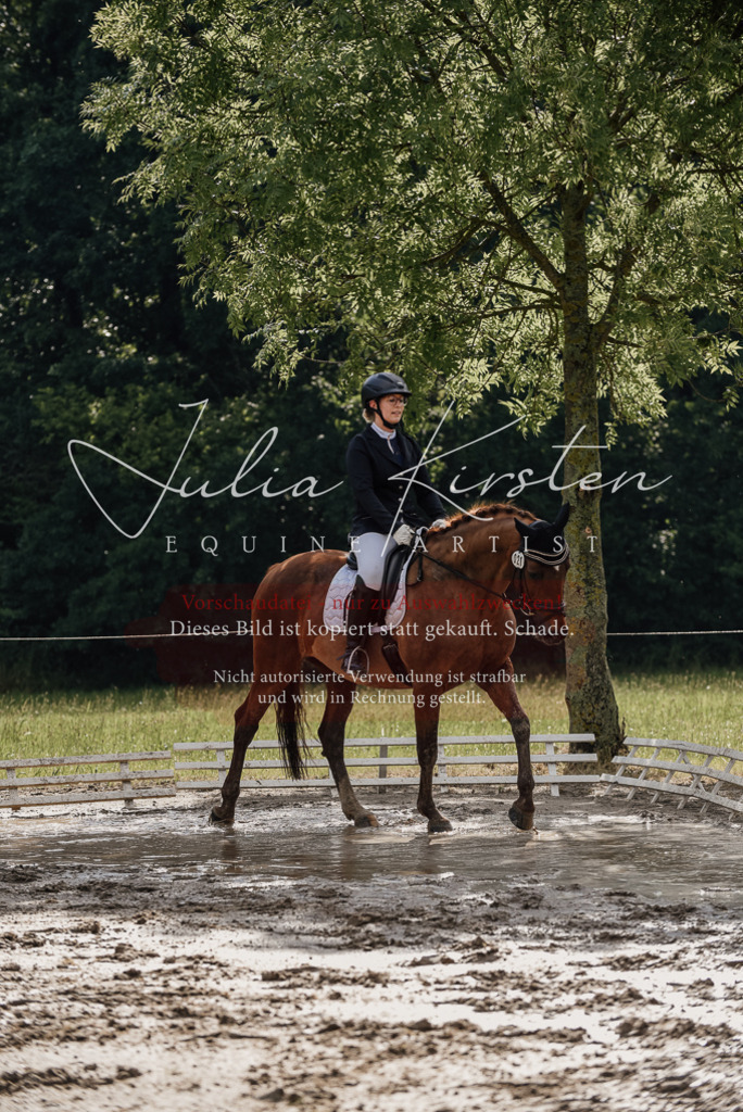 DSC_8875 | Pferde- und Turnierfotografie in Westsachsen. Pferdeportraits, Auftragszeichnungen und intuitive Kunst.