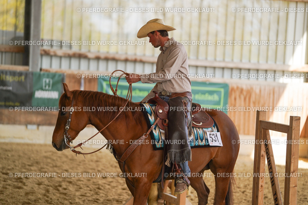 DSC02924 | Pferdegrafie