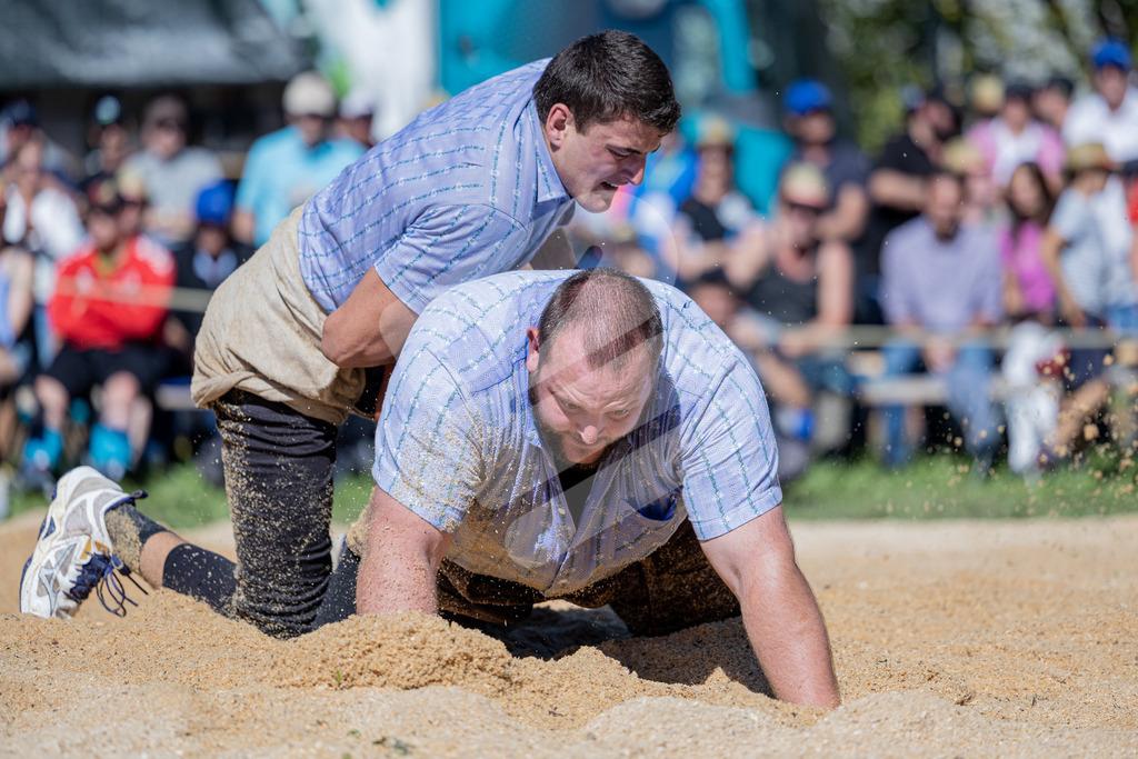 TESSINER2025_03_Gang_0377 | Die Schwinger des Schwyzer Kantonalen Schwingerverbandes: Fotos, die Dynamik und Leidenschaft festhalten, sowie emotionale Momente aus dem traditionellen Schwingsport zeigen. - Realisiert mit Pictrs.com