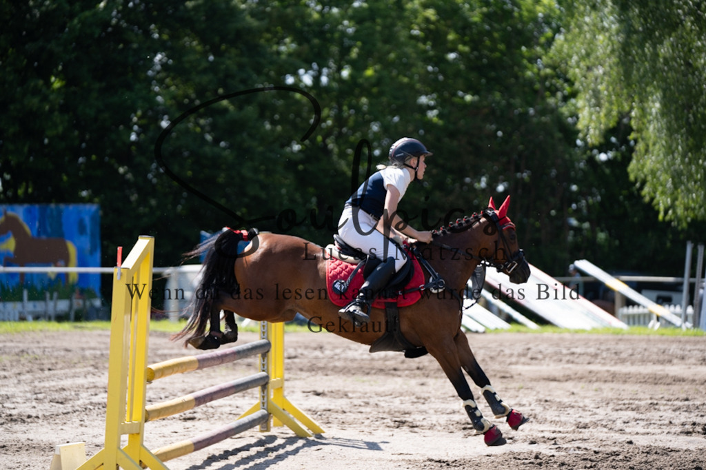 A7V03442 | Pferdefotograf