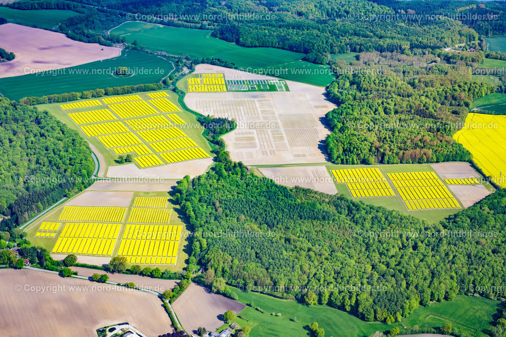 Altenhof_Eckernförde_Raps_Versuchsfelder_ELS_2278140523 | ALTENHOF 14.05.2023 Feld- Landschaft gelb blühender Raps- Blüten in Altenhof im Bundesland Schleswig-Holstein, Deutschland. // Field landscape yellow flowering rapeseed flowers in Altenhof in the state Schleswig-Holstein, Germany. Foto: Martin Elsen