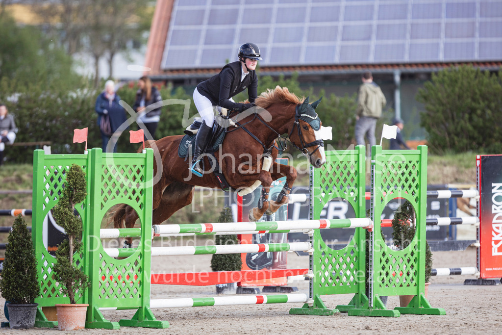 250419_Frühlingsfest_Springpf-L-327 | Deine schönsten Turniermomente als professionelle Fotos! Entdecke hochwertige Pferdesport-Fotografie im Online-Shop. Jetzt Fotos finden & bestellen!