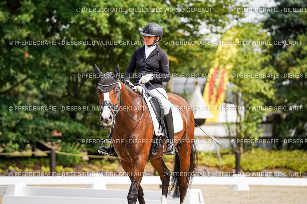 DSC00430 | Pferdegrafie