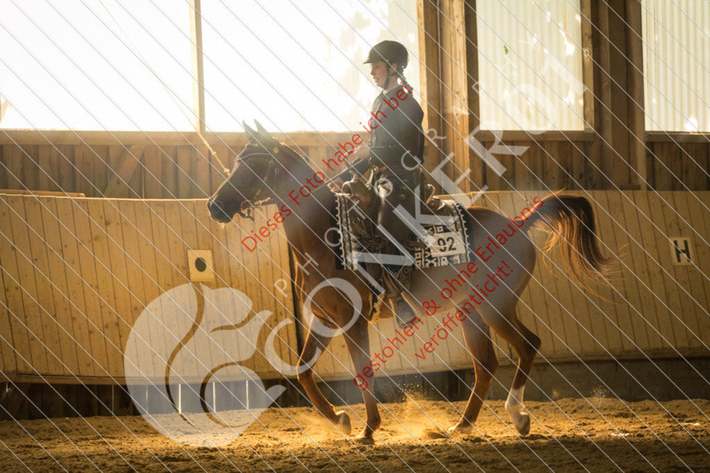 IMG_1653 | Sport-, Event- und Tierfotos in Profiqualität. Einfach auswählen, bestellen und herunterladen. Dein Moment – perfekt festgehalten.