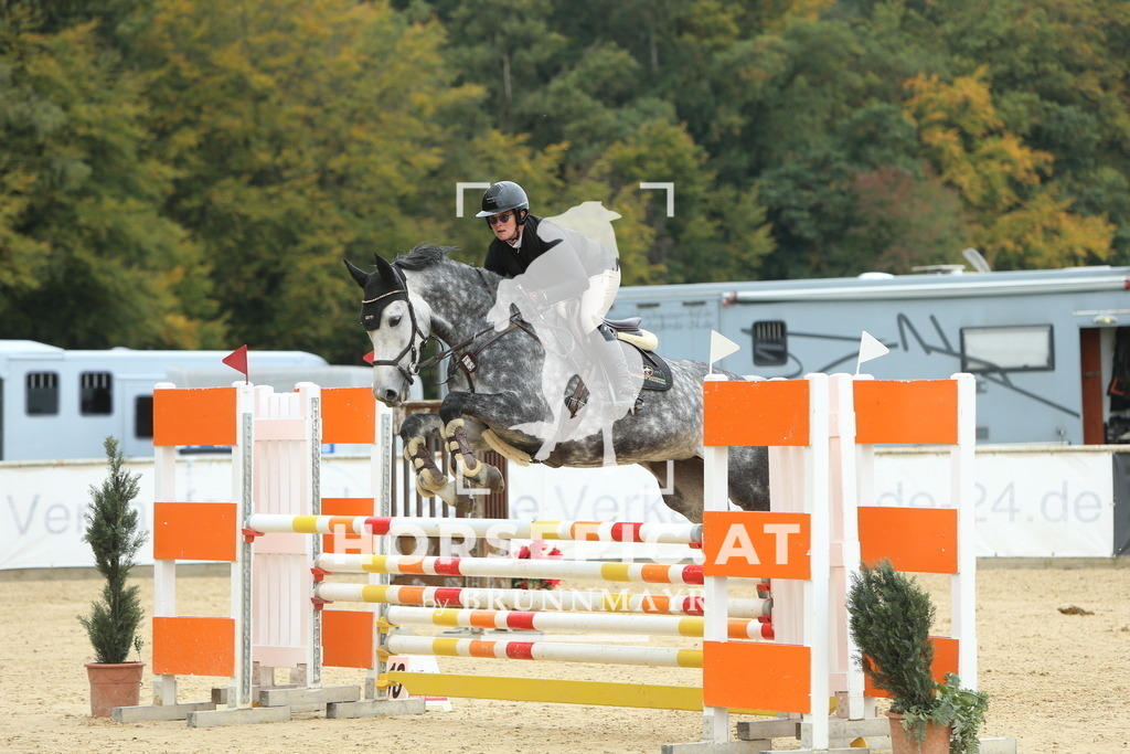 DL2Q6844 | Willkommen bei Brunnmayr - Design & Fotografie – Ihrem Spezialisten für Reitturniere und Pferdeveranstaltungen in Oberösterreich, Salzburg und Bayern! Seit über 17 Jahren sind wir leidenschaftlich dabei.