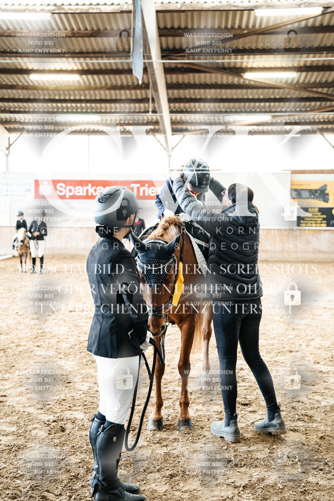 CK702973 | Turnierfotografie Pferdefotografie Trier Rheinland-Pfalz Pferdesport Reitsport Tierfotografie Sportfotografie Pferdevideo Pferdevideografie Equestrianvideography equestrianphotography  - Realized with Pictrs.com