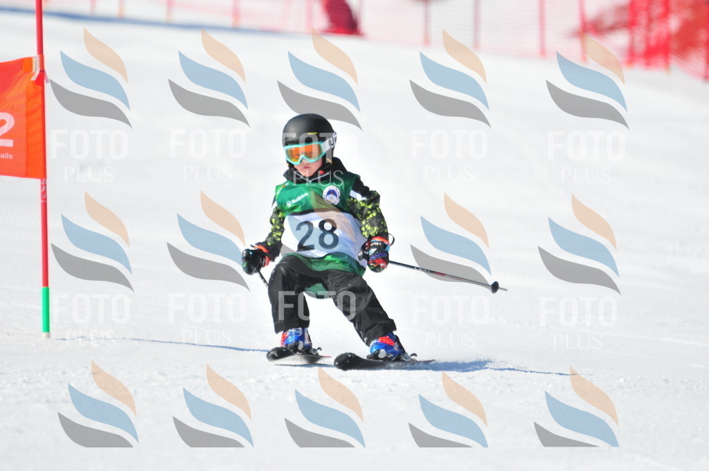 C2604 | holidayphoto