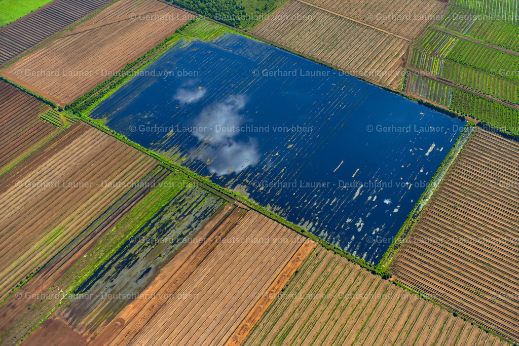 3620816 | Diepholzer Moor