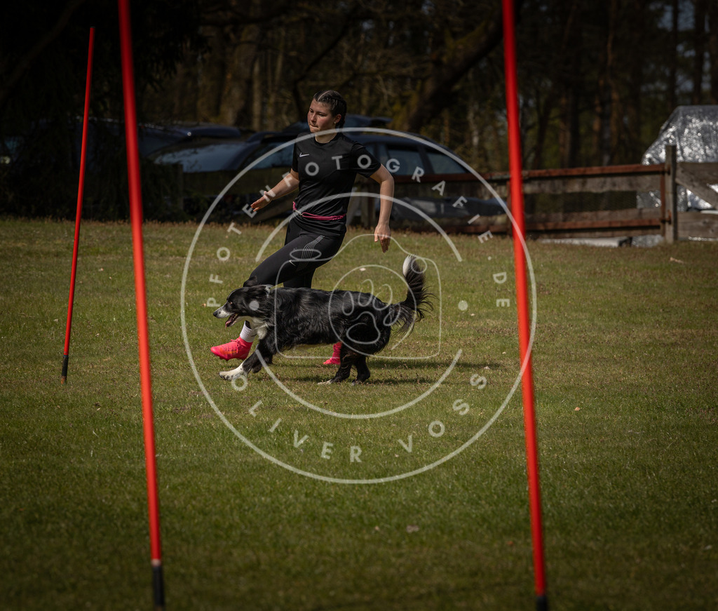 Pfotenfotografie_DV3A4929 | Hundefotografie, Tierfotograf, Pfotenfotografie, Fotoshooting Hund, Hunde Portrait, Hundesport, Hundeportraits, Heideshooting, Hunde, Sportfotograf, Hundefotograf, Turnierhundsport, THS,  - Realisiert mit Pictrs.com