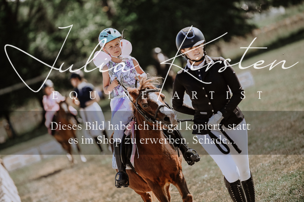 DSC_9011 | Pferde- und Turnierfotografie in Westsachsen. Pferdeportraits, Auftragszeichnungen und intuitive Kunst.