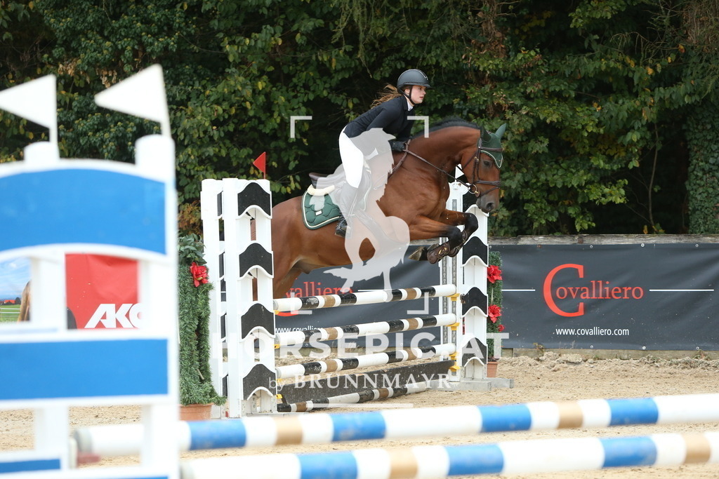 DL2Q5311 | Willkommen bei Brunnmayr - Design & Fotografie – Ihrem Spezialisten für Reitturniere und Pferdeveranstaltungen in Oberösterreich, Salzburg und Bayern! Seit über 17 Jahren sind wir leidenschaftlich dabei.