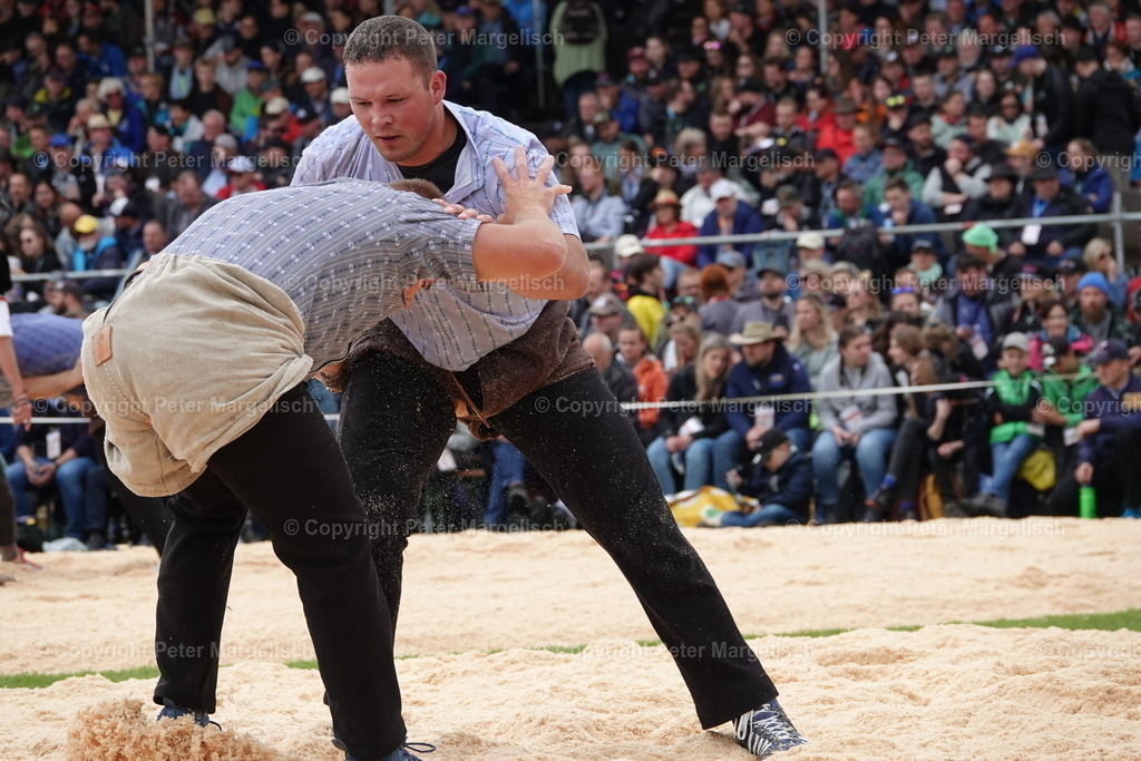 DSC03878 | Schwingen - Realisiert mit Pictrs.com