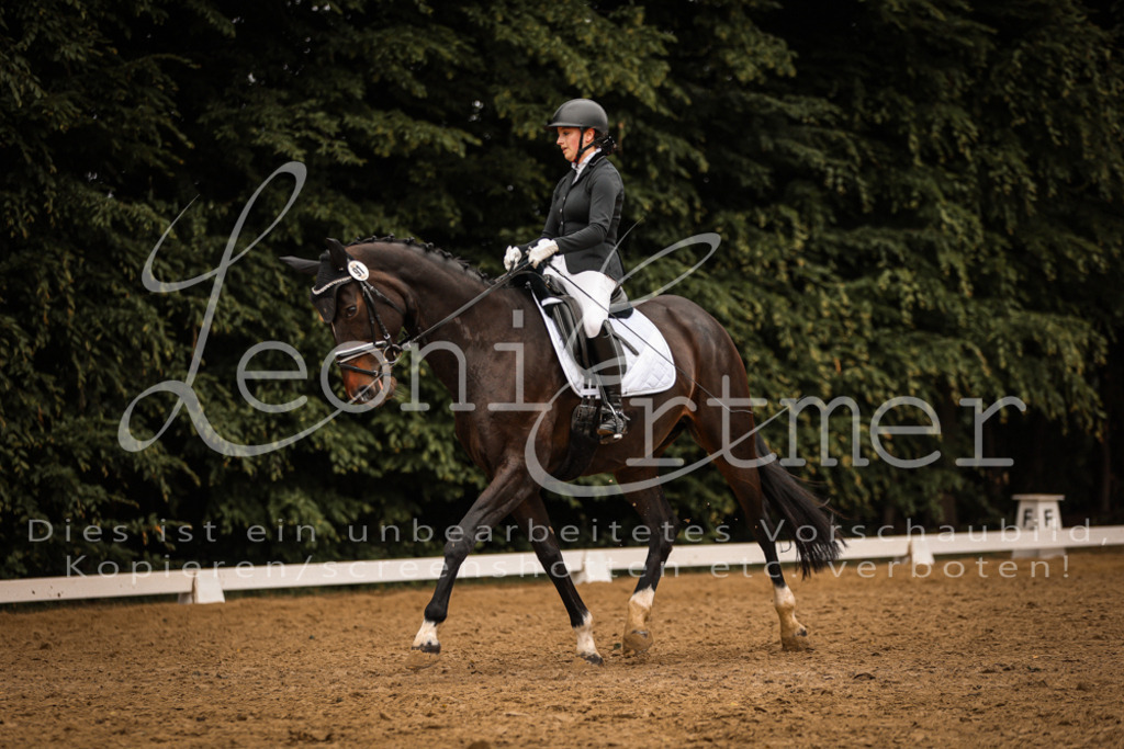 DoDrA200213 | Leoni Ertmer Photography - Realisiert mit Pictrs.com