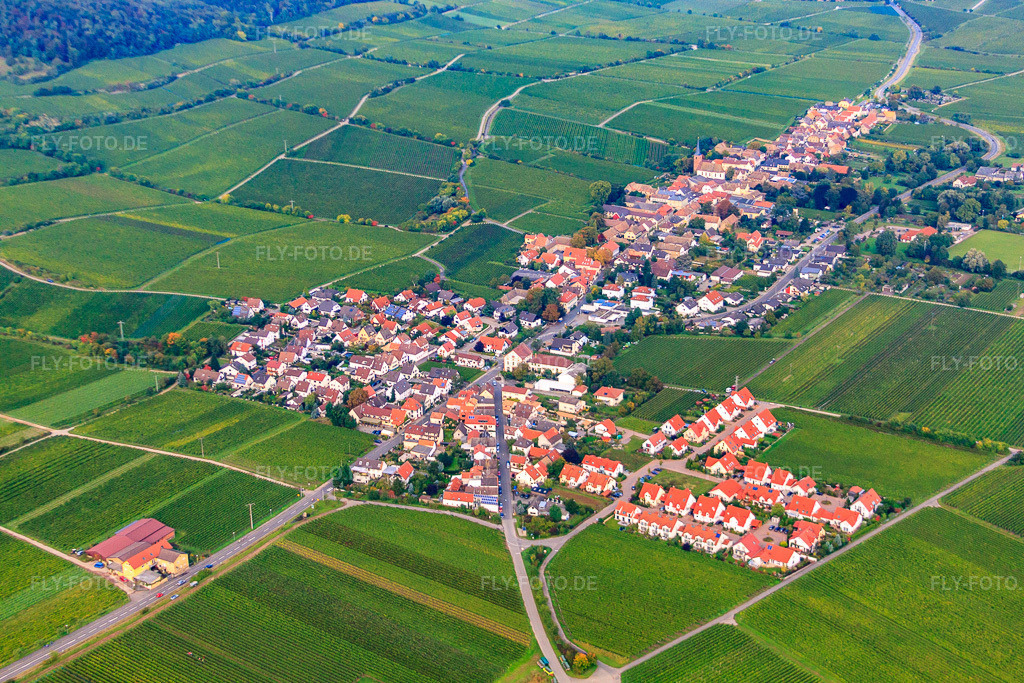 Luftbild: Dorfansicht von Südosten in Forst an der Weinstraße im Bundesland Rheinland-Pfalz in Deutschland. Foto: IMG_34279.jpg vom 03.10.2010 durch Werner Riehm/FLY-FOTO.de