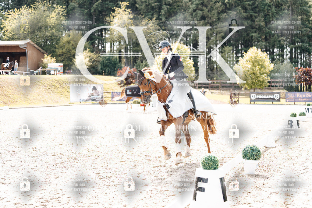 CK901006 | Turnierfotografie Pferdefotografie Trier Rheinland-Pfalz Pferdesport Reitsport Tierfotografie Sportfotografie Pferdevideo Pferdevideografie Equestrianvideography equestrianphotography  - Realisiert mit Pictrs.com