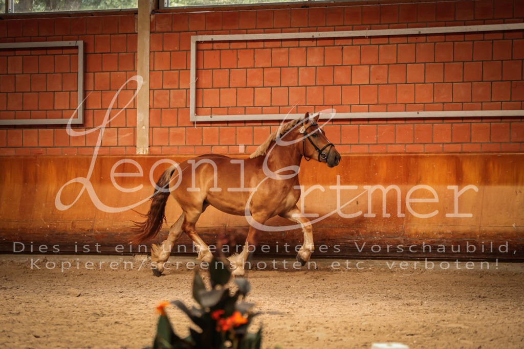 SaFL00164 | Leoni Ertmer Photography - Realisiert mit Pictrs.com