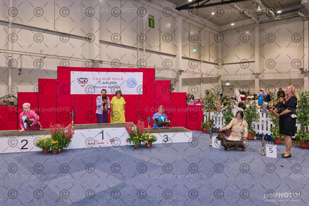 202406_ÖKV-IHA-Tulln24_NZ9_7846 | proPHOTO - Realisiert mit Pictrs.com