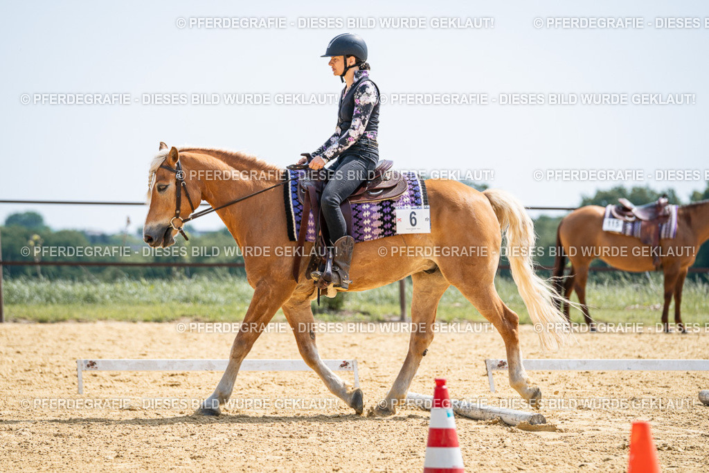 DSC00155 | Pferdegrafie