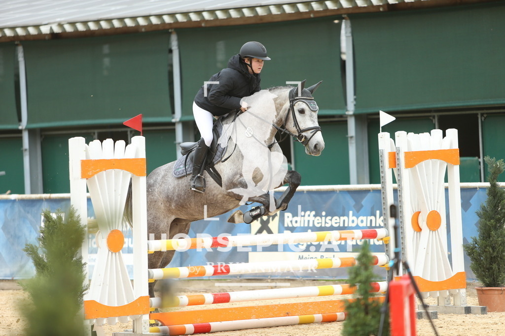 DL2Q5881 | Willkommen bei Brunnmayr - Design & Fotografie – Ihrem Spezialisten für Reitturniere und Pferdeveranstaltungen in Oberösterreich, Salzburg und Bayern! Seit über 17 Jahren sind wir leidenschaftlich dabei.