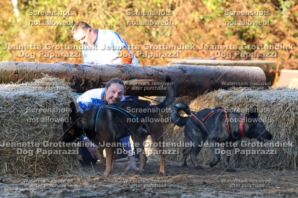 Dog Paparazzi - Strongdog 10-25-663 | Dog Paparazzi Jeanette Grottendiek Fotografie & Videografie - Realisiert mit Pictrs.com