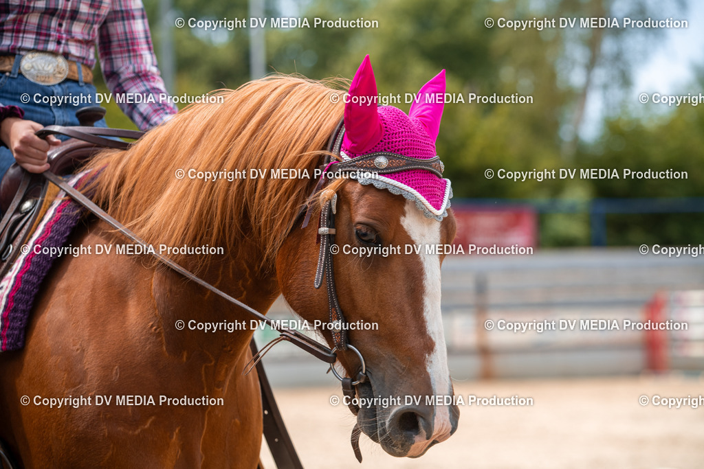 EWP_6571 | dv-media-shop - Realisiert mit Pictrs.com