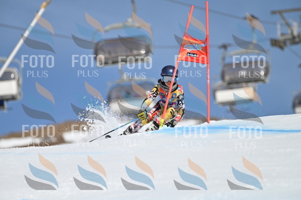 BGV_8970 | holidayphoto