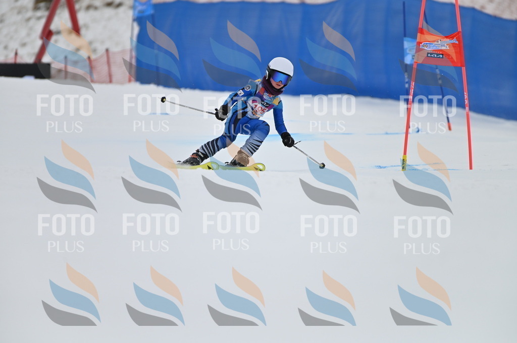 BGV_1656 | holidayphoto