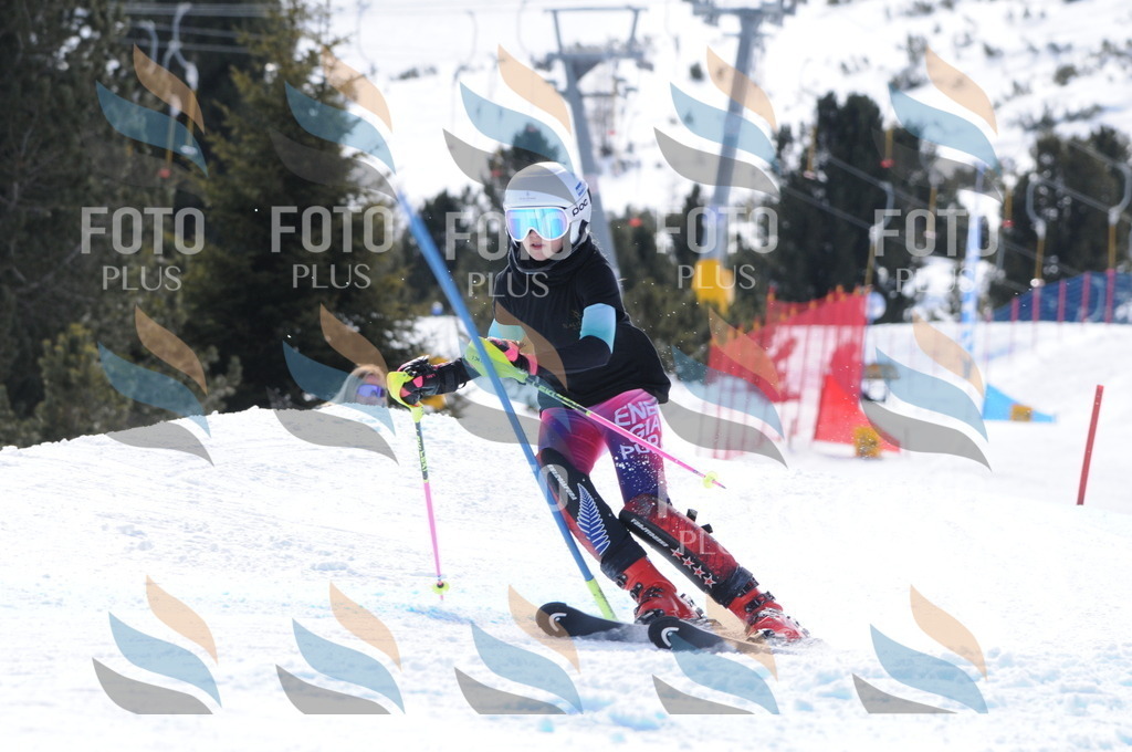 C9908 | holidayphoto