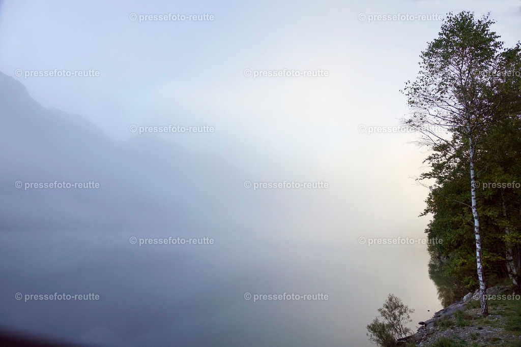 welltvi-Plansee-Impression-Herbst_05102018-_DSC7845 | Info aus dem Bezirk Reutte/Ausserfern Tirol sowie eine umfangreiche Bilddatenbank über die gesamte Region: Lechtal, Talkessel Reutte, Tannheimertal, Zwischentoren. Lech, Plansee, Zugspitze, Grenztunnel, B179, Fernpassstraße, Verkehr, Lawinen, Tradition, - Realisiert mit Pictrs.com