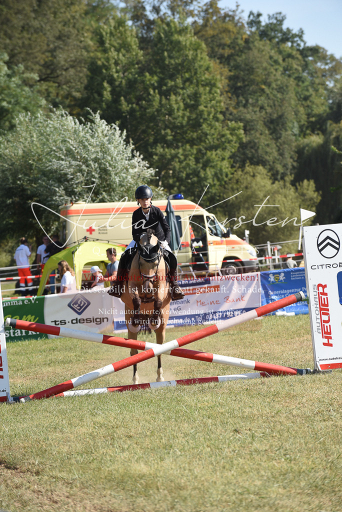 DSC_6070 | Pferde- und Turnierfotografie in Westsachsen. Pferdeportraits, Auftragszeichnungen und intuitive Kunst.