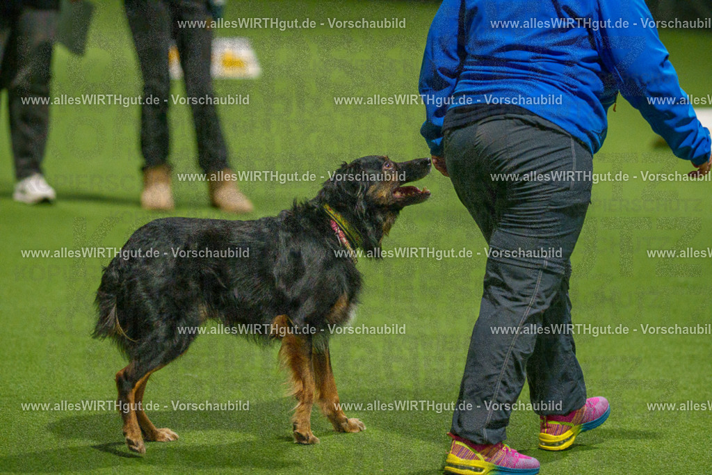 7R508684 | Professionelle Tierfotografie in Mönchengladbach von Daniel Wirth (allesWIRTHgut). Liebevolle & natürliche Bilder von Hunden & Katzen für unvergessliche Erinnerungen.