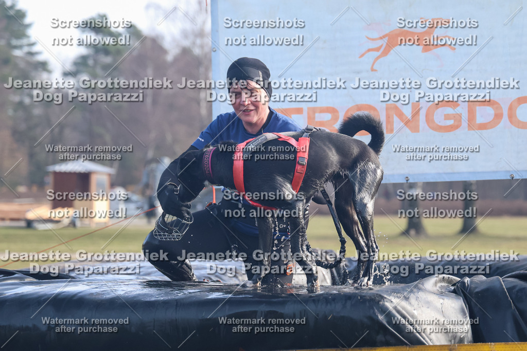 Dog Paparazzi - Strongdog North Mrz26-611 | Dog Paparazzi Jeanette Grottendiek Fotografie & Videografie - Realisiert mit Pictrs.com