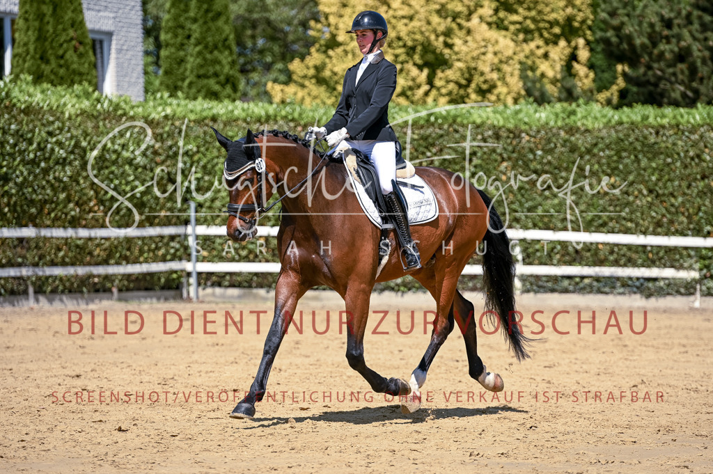 Schugtsche-Aluta25-49.Dressurpferdeprf.A-324 | Schugtsche Fotografie - Realisiert mit Pictrs.com