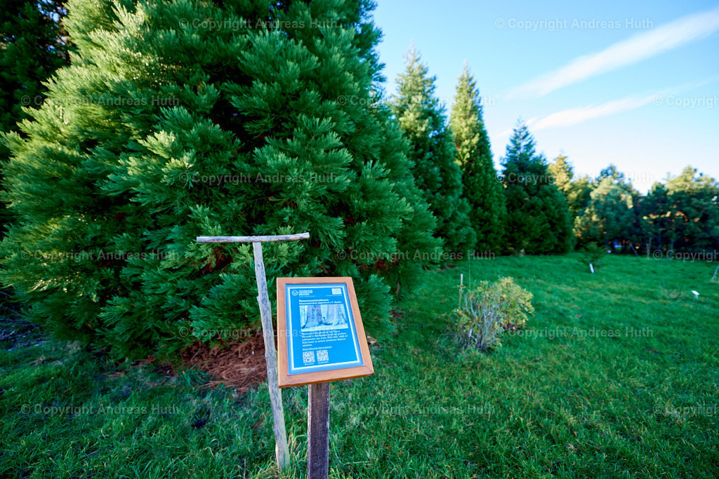 Im Forstbotanischen Garten Tharandt 03 | Bedeutsame Landschaften Deutschlands - Realisiert mit Pictrs.com