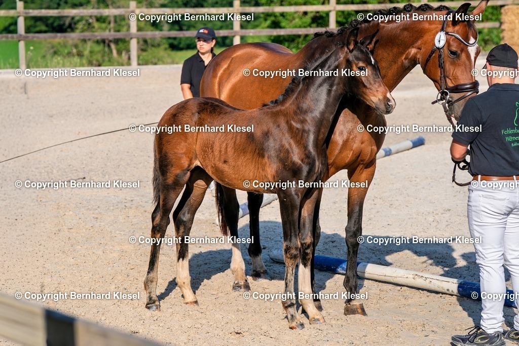 2A905763 | foto-team-bernhard - Realisiert mit Pictrs.com