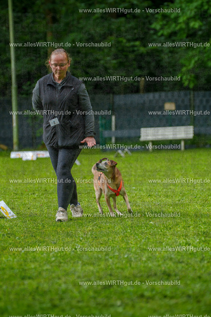 @allesWIRTHgut_Tierfotografie - www.allesWIRTHgut.de - 7R502044 | Professionelle Tierfotografie in Mönchengladbach von Daniel Wirth (allesWIRTHgut). Liebevolle & natürliche Bilder von Hunden & Katzen für unvergessliche Erinnerungen.