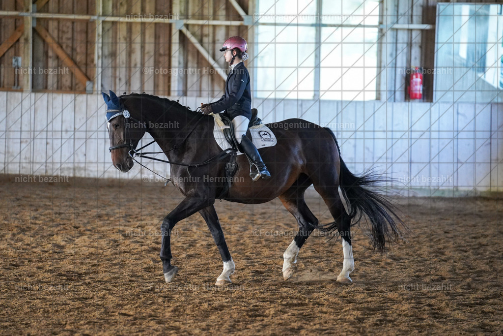20230916-FAH08677 | Landsberg am Lech 2023, Turnierbildern, Turnierbilder Bayern, Reitsportfotograf, Pferdefotograf Bayern, Turnierfotos Landsberg, Fotoagentur Herrmann, Turnierfotografen Bayern