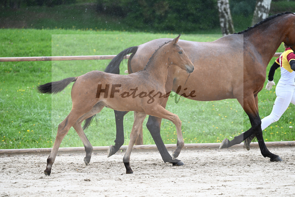 Kat-Nr. 28 HF Franklin_Schneider_25230280 | hf-fotografie - Realisiert mit Pictrs.com