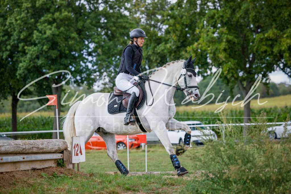 20250905-_3LI0857 | Tierfotografie Pferde, Hunde, Katzen, Haustiere.
Turnierfotografie Reitturniere, Reiten, Springreiten, Dressur in Hanau, dem Main-Kinzig-Kreis und dem Rhein-Main- Gebiet um Frankfurt