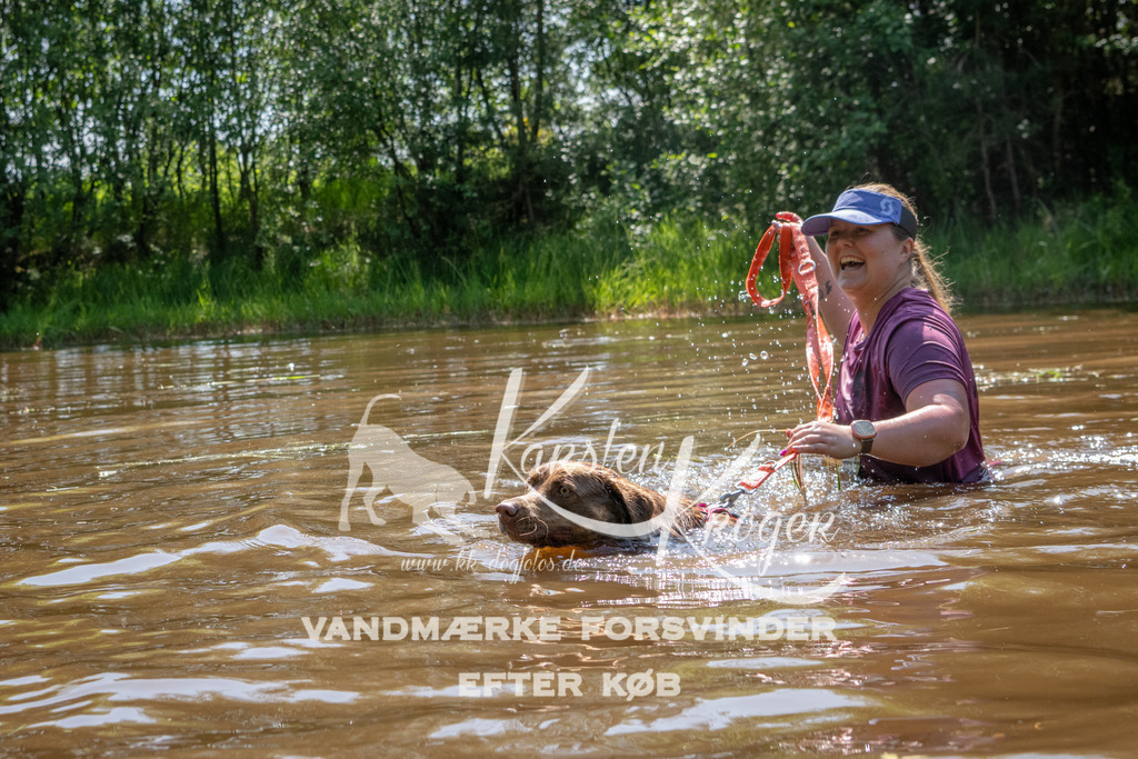1524DKK993227 | kk-dogfotos