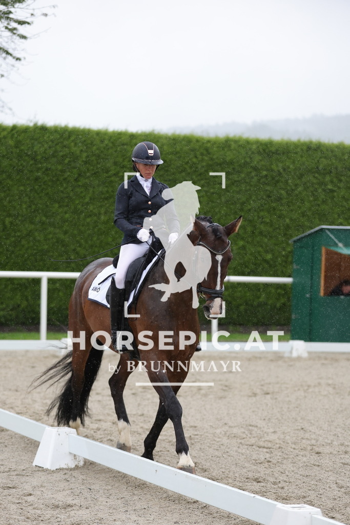 0P6A0369 | Willkommen bei Brunnmayr - Design & Fotografie – Ihrem Spezialisten für Reitturniere und Pferdeveranstaltungen in Oberösterreich, Salzburg und Bayern! Seit über 17 Jahren sind wir leidenschaftlich dabei.