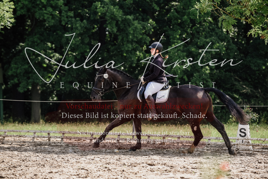 DSC_0221 | Pferde- und Turnierfotografie in Westsachsen. Pferdeportraits, Auftragszeichnungen und intuitive Kunst.