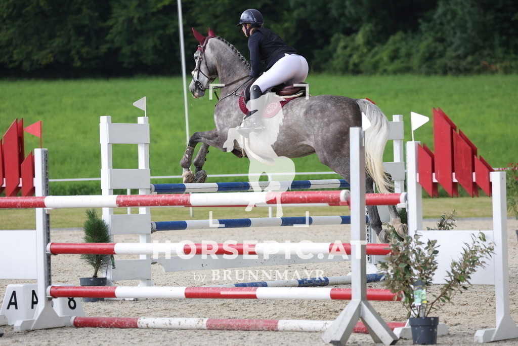 0P6A4080 | Willkommen bei Brunnmayr - Design & Fotografie – Ihrem Spezialisten für Reitturniere und Pferdeveranstaltungen in Oberösterreich, Salzburg und Bayern! Seit über 17 Jahren sind wir leidenschaftlich dabei.
