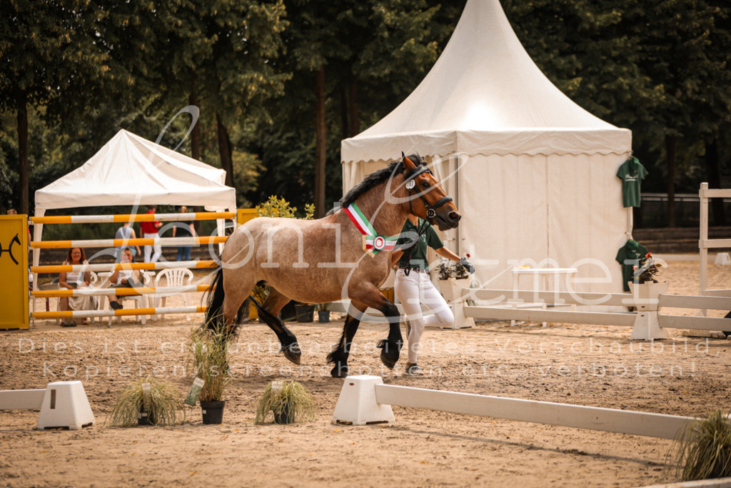 SaSieger00076 | Leoni Ertmer Photography - Realisiert mit Pictrs.com